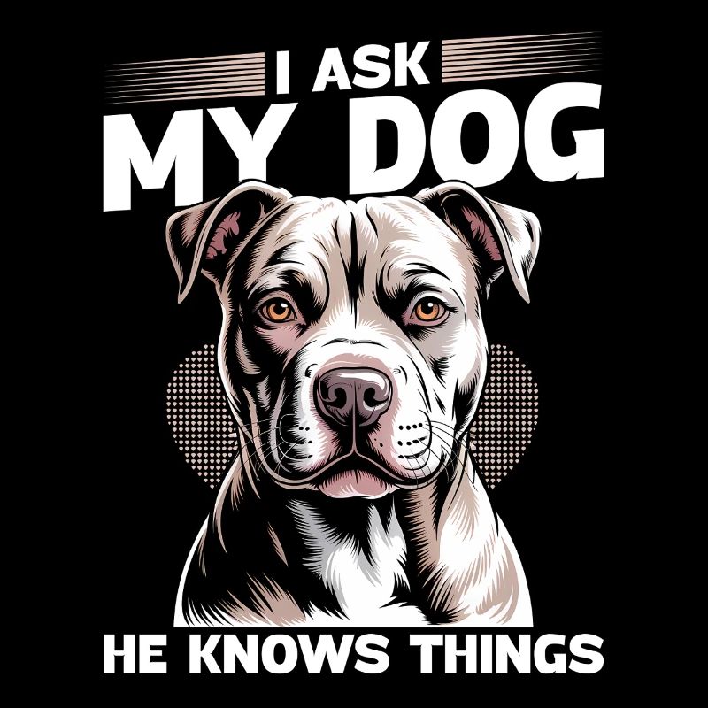 Pitbull Terrier Race de chien pittie