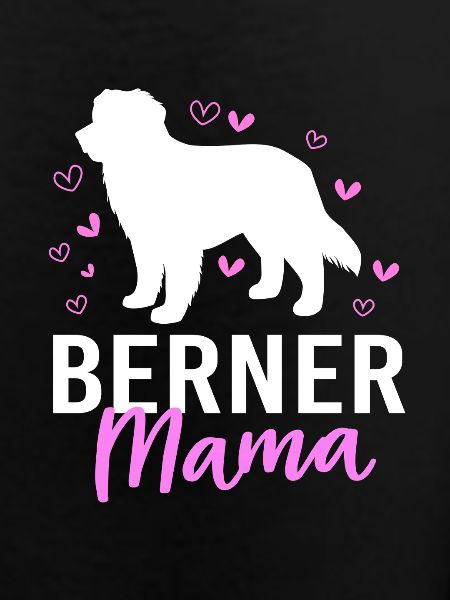 Bouvier bernois