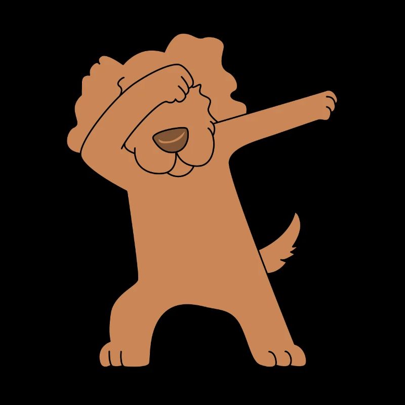 Boykin Spaniel