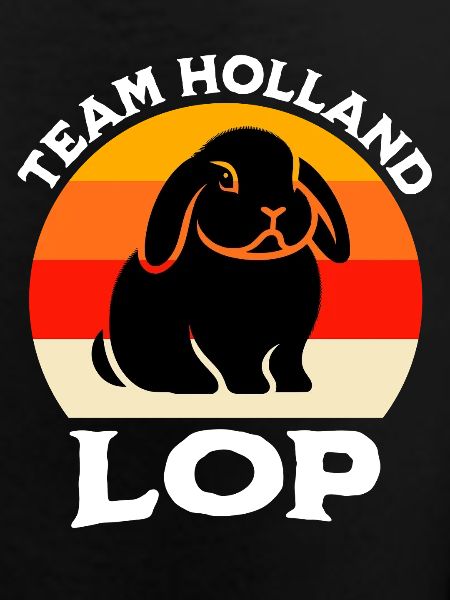Team Dwarf Ram Rabbit