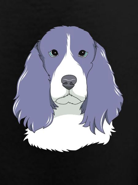 Springer Spaniel