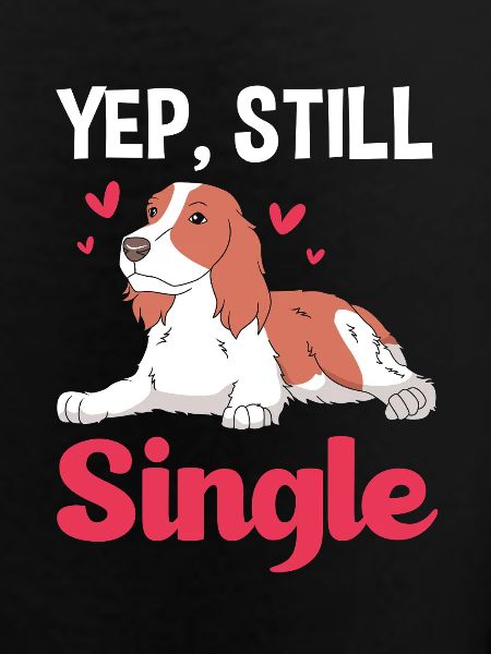 Springer Spaniel
