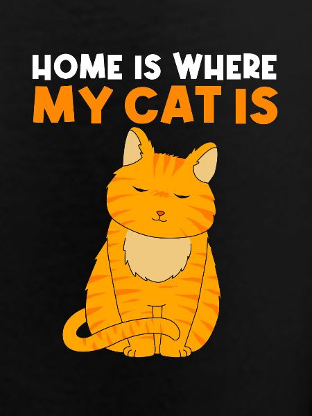 tabby cat