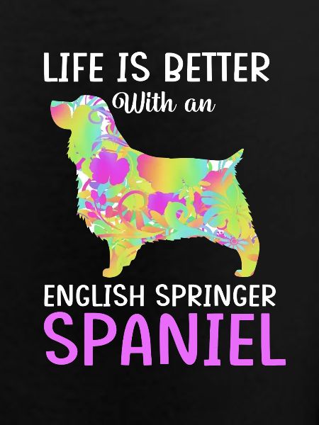 Springer Spaniel