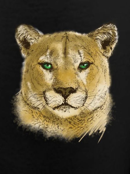 Cougar