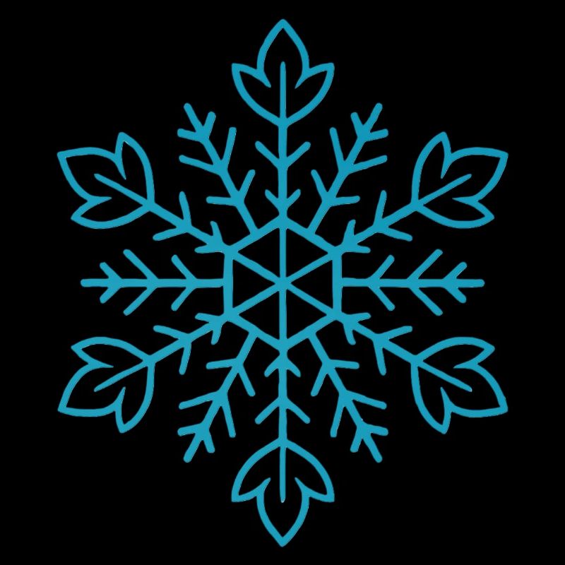 Snowflake | Mountain | Skiing | Snowboarding