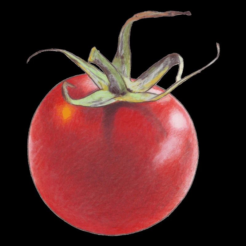 Tomato