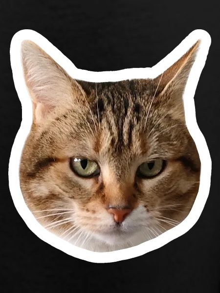 Missty Sad Decal