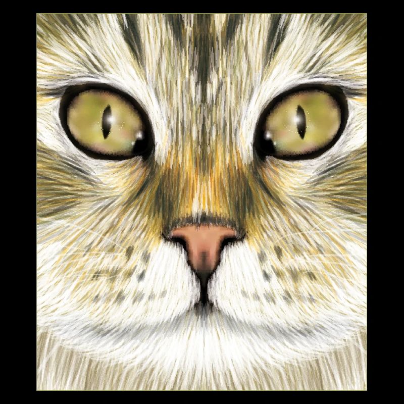 Norwegian Forest Cat