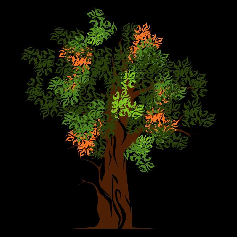 nature trees bäume baum wald colors Herbst spring