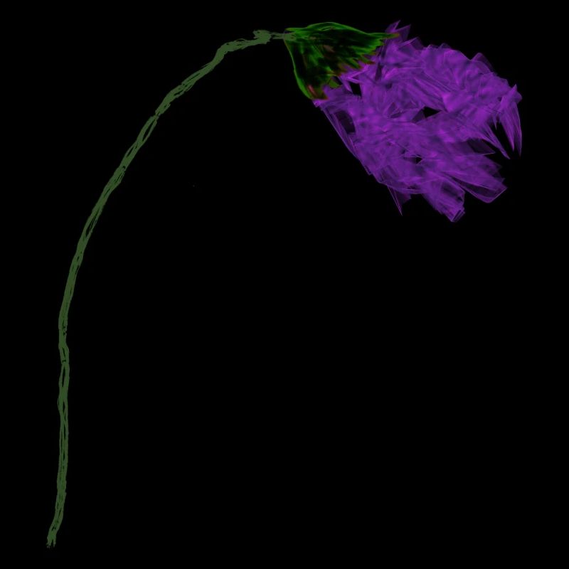 Fleur de violette à surface abstraite