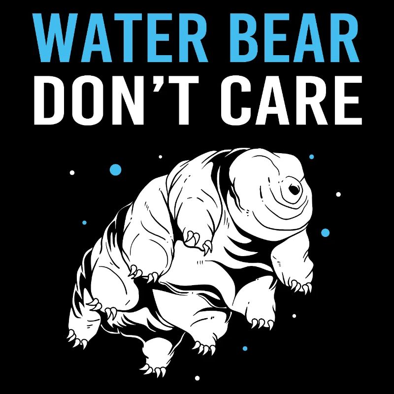 Tardigrade Ours d’eau tardigrade Tardigrade