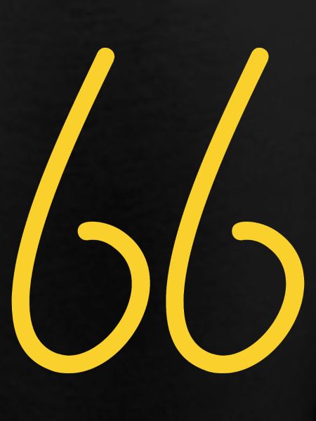 66