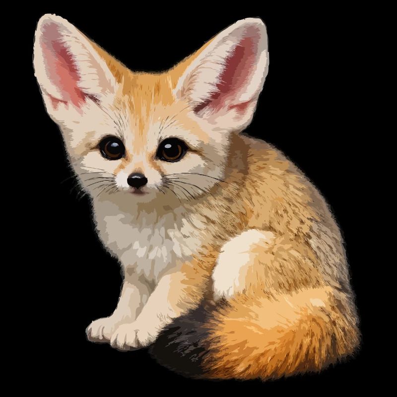 Fennec-Wüstenfuchs