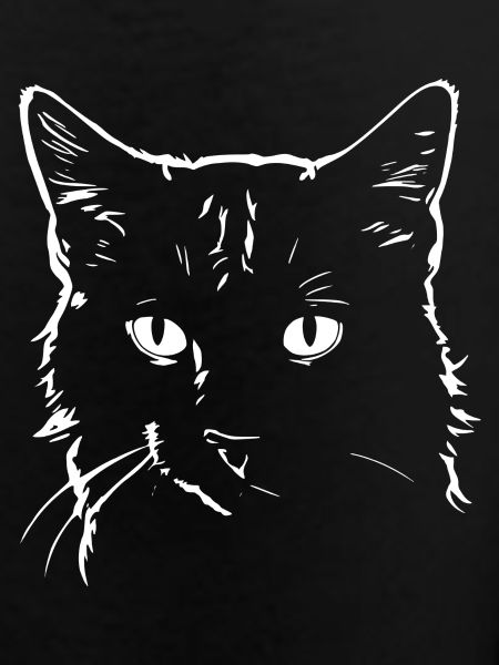 Cat 4