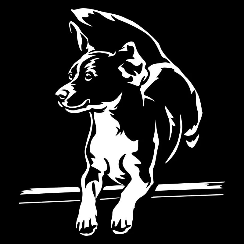 Beagle « Black Edition »