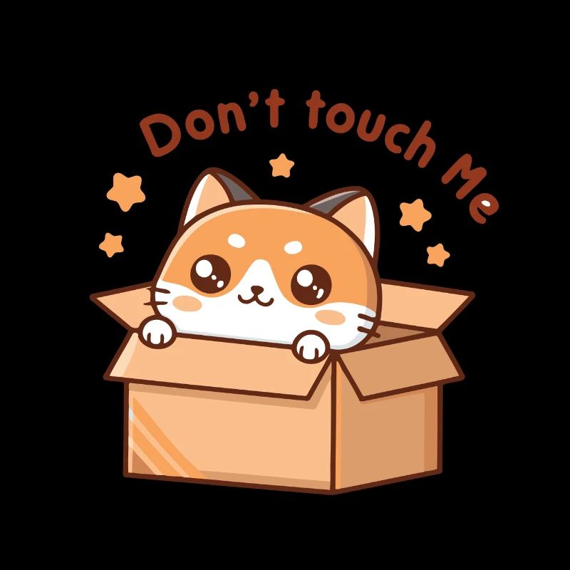 Kitten in a box Don't Touch Me
