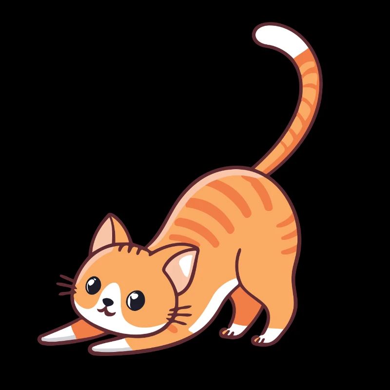 Orange kitten stretching
