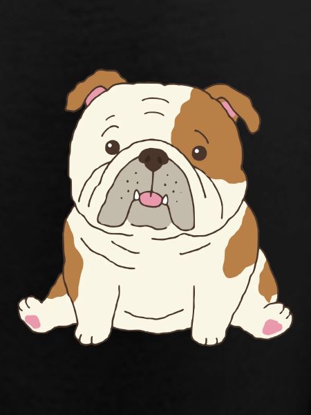 Bouledogue anglais mignon