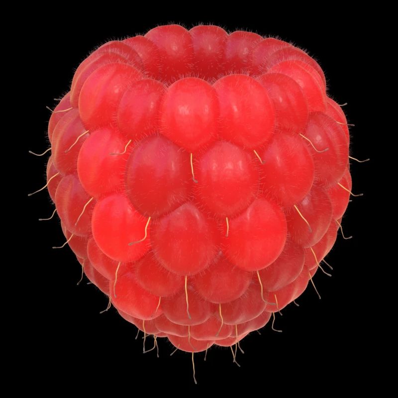 Modèle de grappe de framboises