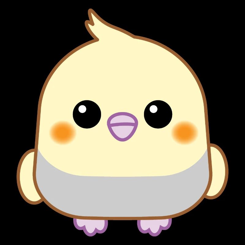 Cockatiel, perroquet mignon