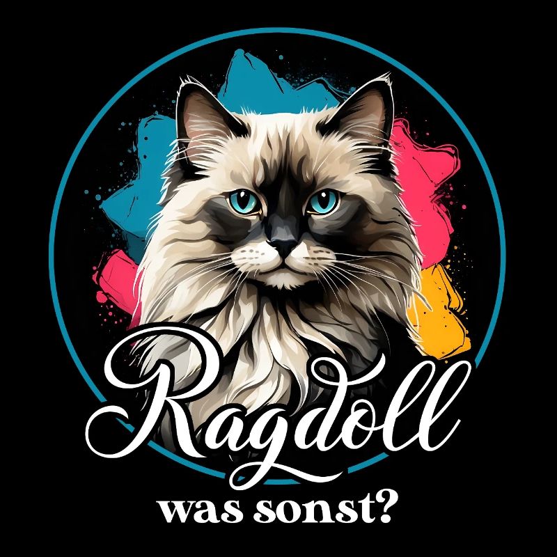 Ragdoll Cat