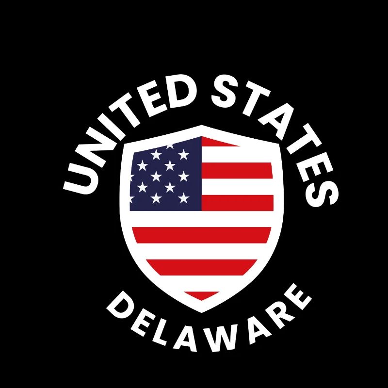 USA Delaware Shield Flag