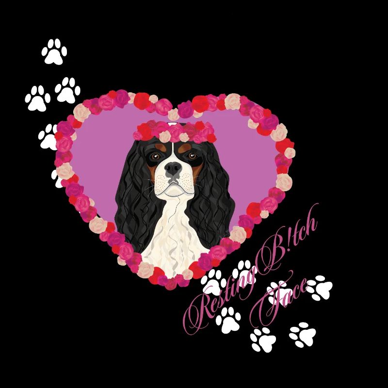 Ruhende B!tch Face Cavalier King