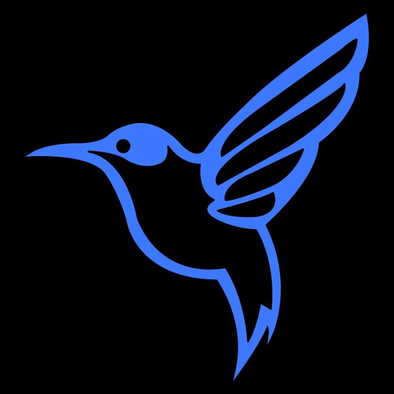 Colibri Silhouette Oiseau
