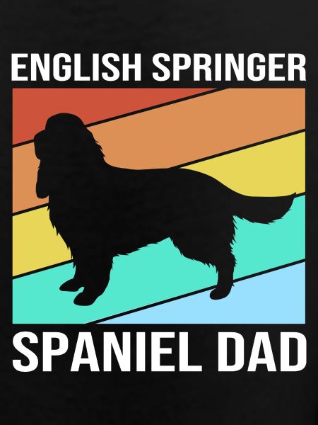 Springer Spaniel