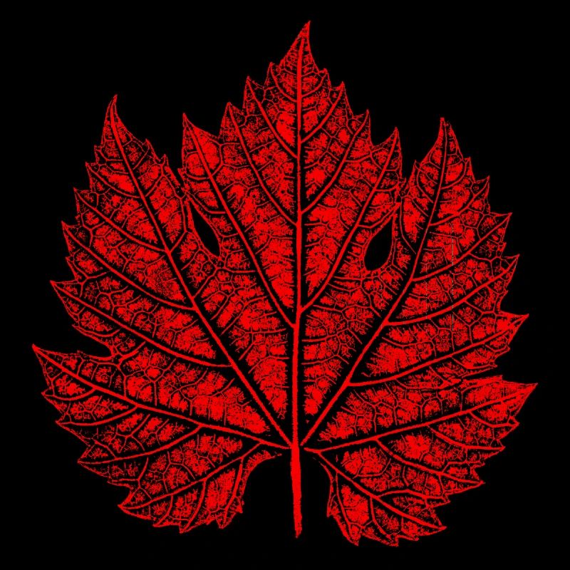 Feuille de vigne / Rouge / Feuille de vin