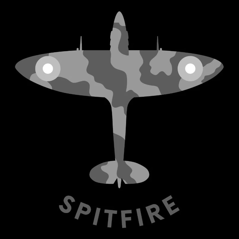 Spitfire fighter plane