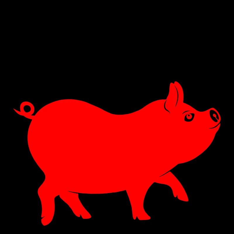 Chinese script with red pig