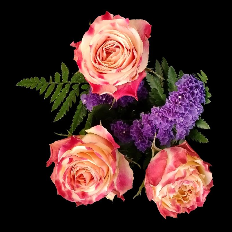 Rose bouquet in lavender glow