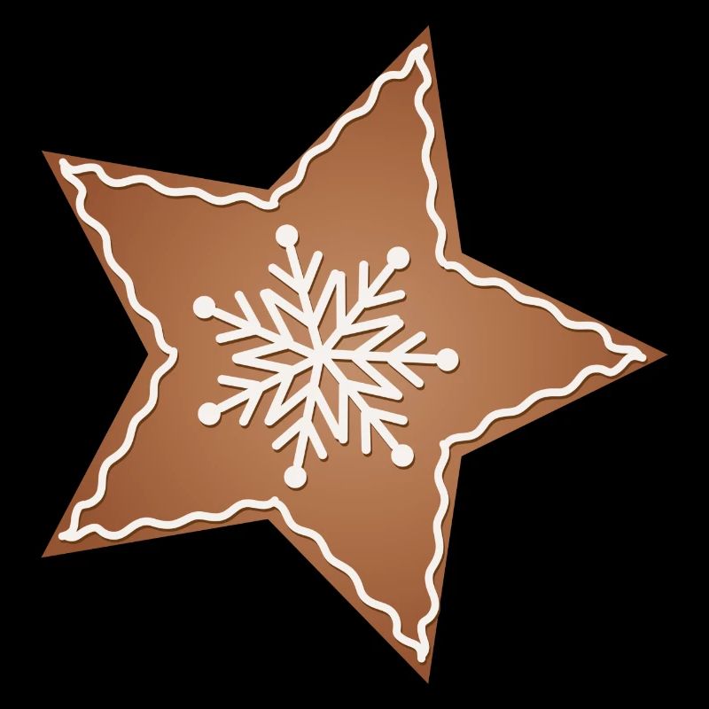 beautiful gingerbread star for christmas
