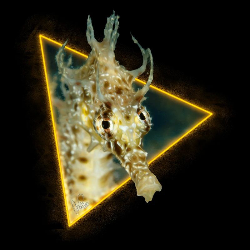 Hippocampe dans un triangle