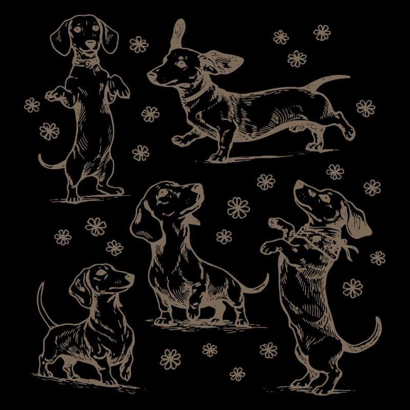 Teckel Teckel Chiens Teckels Teckel Chien teckel Teckel