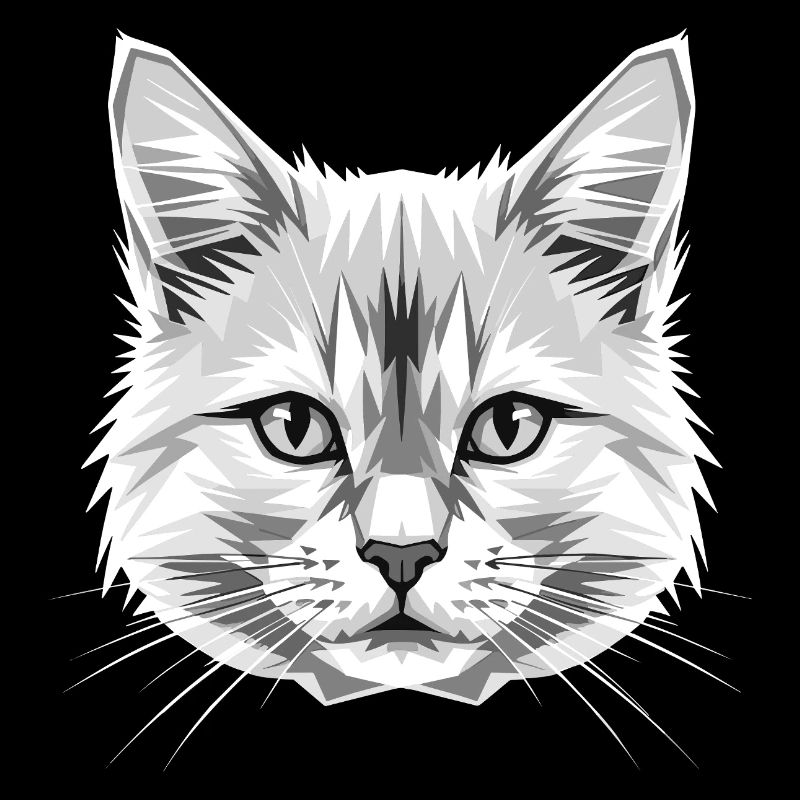 Chat Angora Chat Angora Chat Angora Mignons Chats Angora