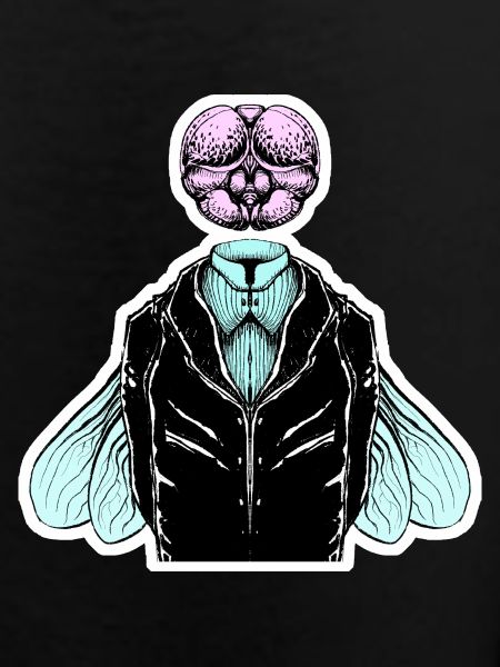 Smoking-Fliege