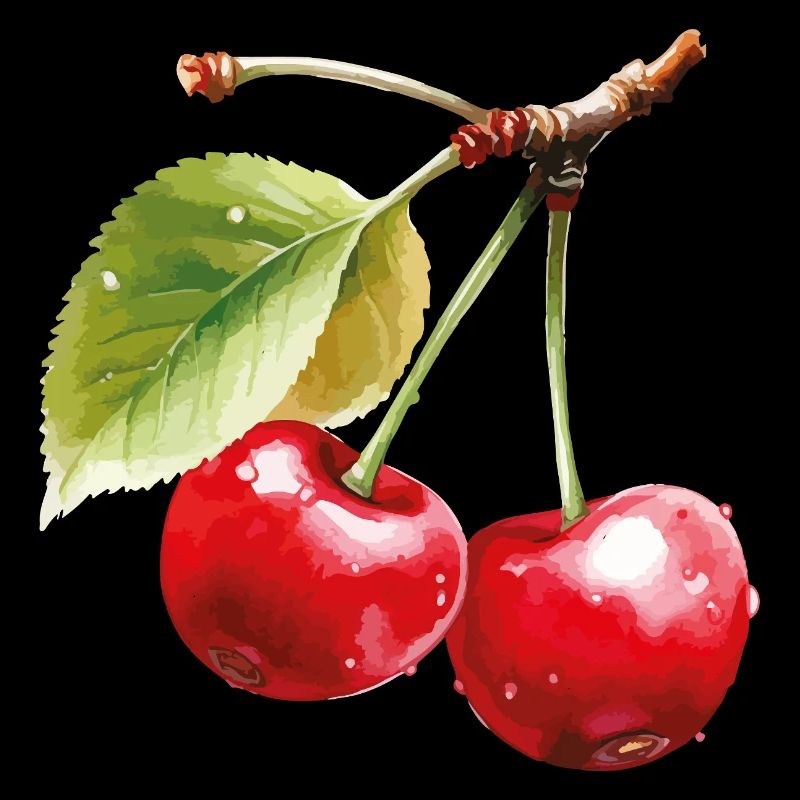 Cherries on leaves