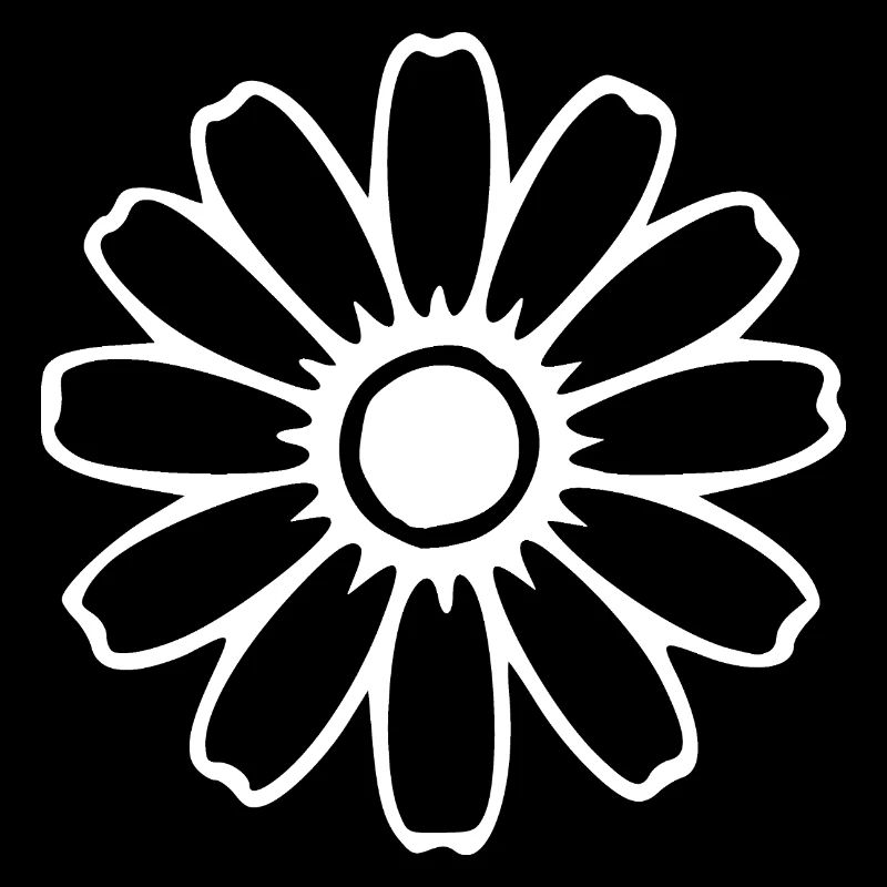 Fleurs blanches Fleurs Fleur Fleur Herbes Herbes