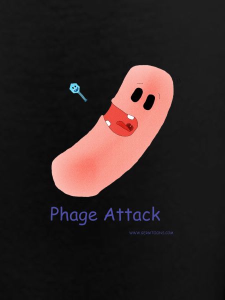 Phage Attack - Bacteria & Bacteriophage