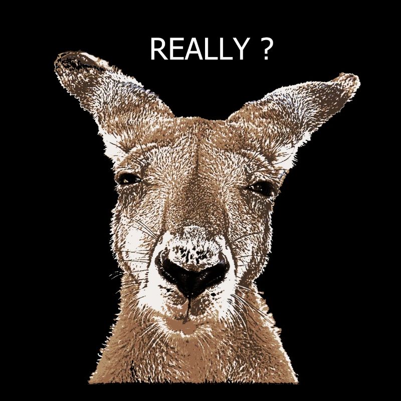 Kangaroo really?