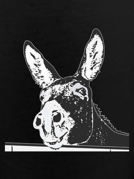 donkey