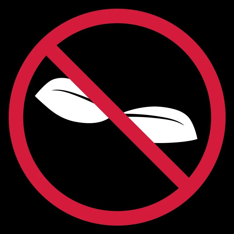 Fly Forbidden Shield