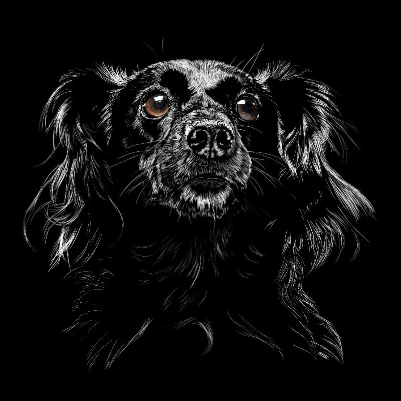 Hund
