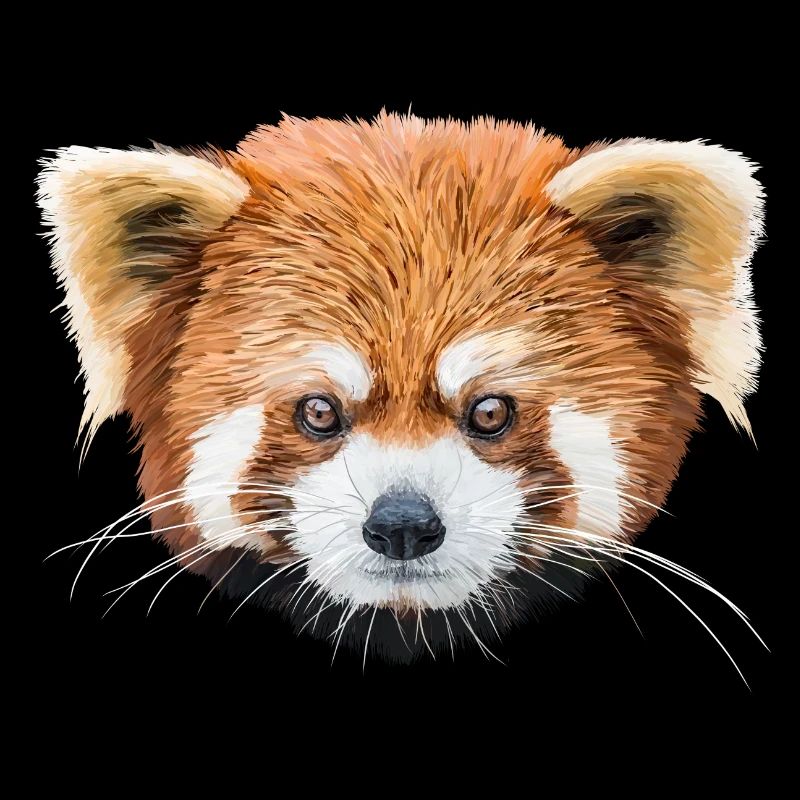Petit panda