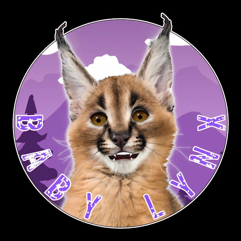 Chat Bébé Lynx