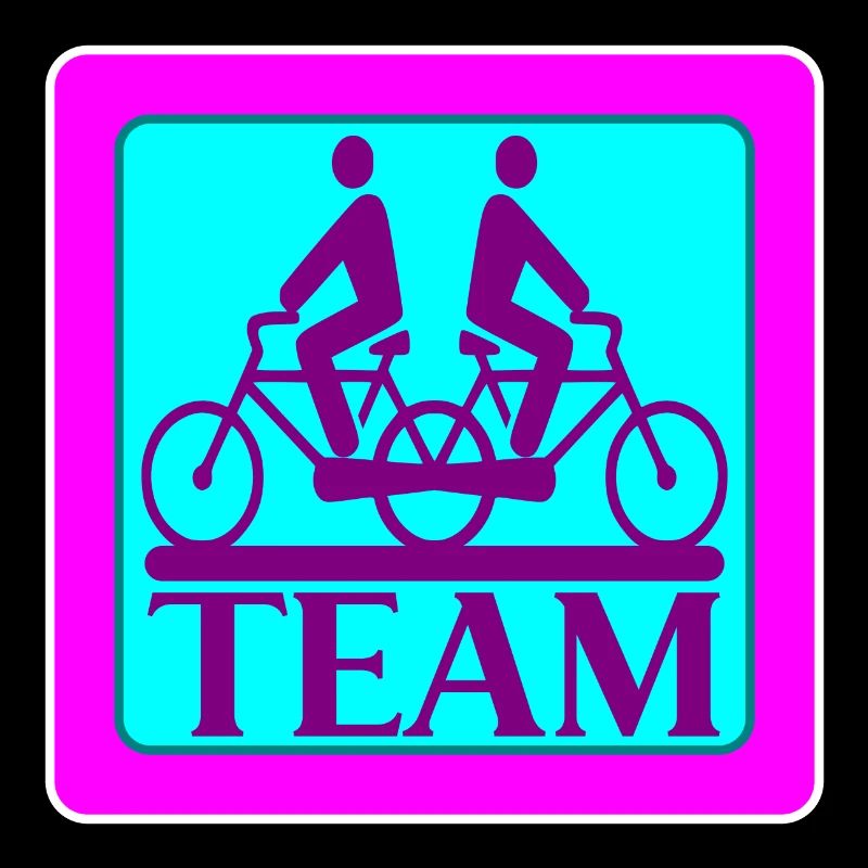 TEAM PROBLEMS - BICYCLE - STRATEGY
