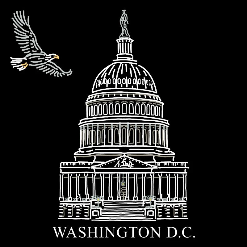 Washington D.C., Capitol Structure, Bald Eagle